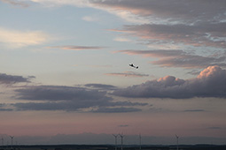 sunsetfliegen 07