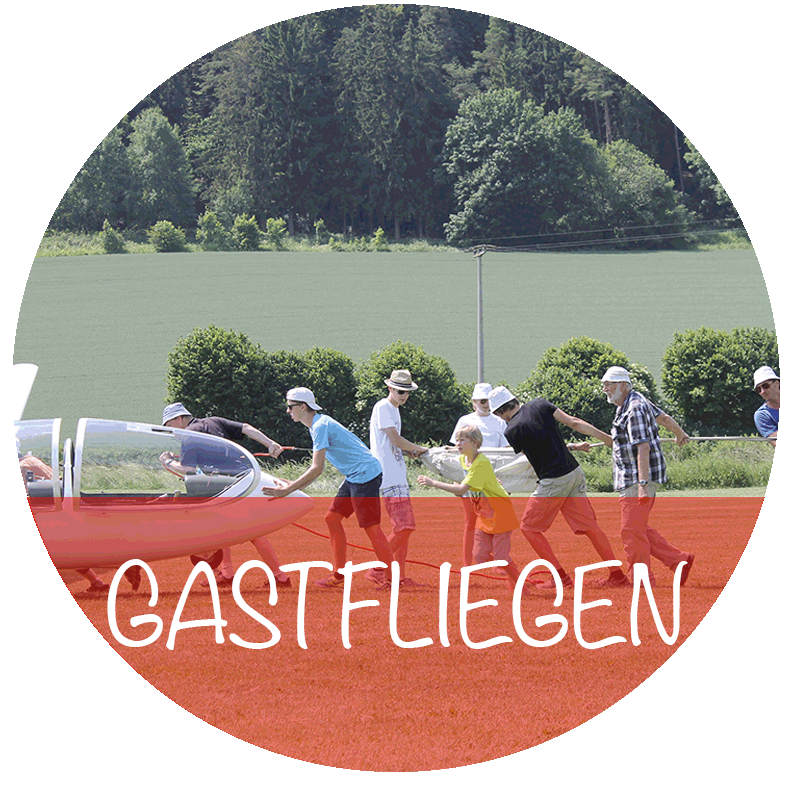 Gasfliegen